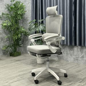 Ghế công thái học ngã lưng -CTH899