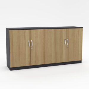Tủ Hồ Sơ Thấp THST17