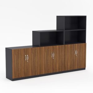 Tủ Hồ Sơ Thấp THST26