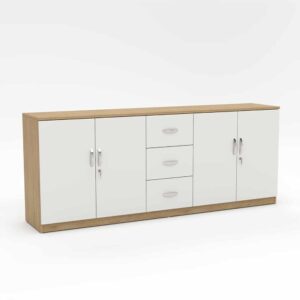 Tủ Hồ Sơ Thấp THST28